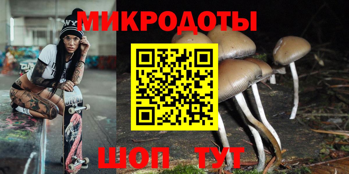Аргун  Псилоцибиновые грибы прущие грибы  Вход с VPN 