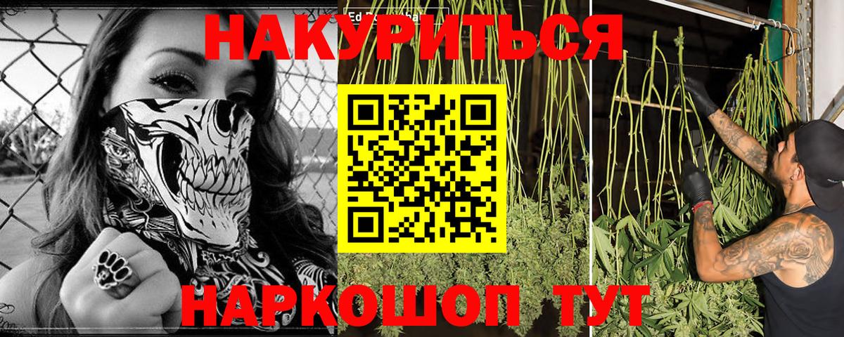 МАРИХУАНА сатива  Шишки марихуана AK-47  Аргун  Вход с VPN  Марихуана Ganja 